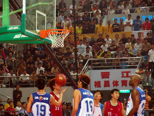 的伪数据学 的伪数据学